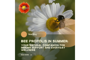 Bee Propolis in Summer: Your Natural Companion for Immune Support and Everyday Wellness