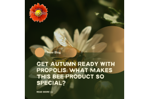 Get Autumn Ready with Propolis: What Makes This Bee Product So Special?