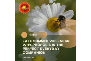 Late Summer Wellness: Why Propolis is The Perfect Everyday Companion