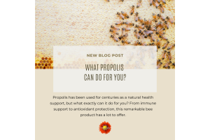 What can propolis do for you?