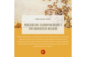 The Buzz for World Bee Day