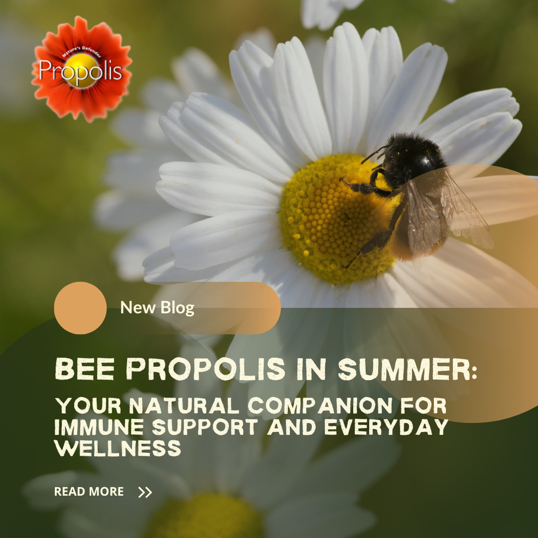 Bee Propolis in Summer: Your Natural Companion for Immune Support and Everyday Wellness