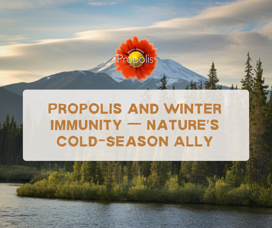 Propolis and Winter Immunity. Nature’s Cold-Season Ally