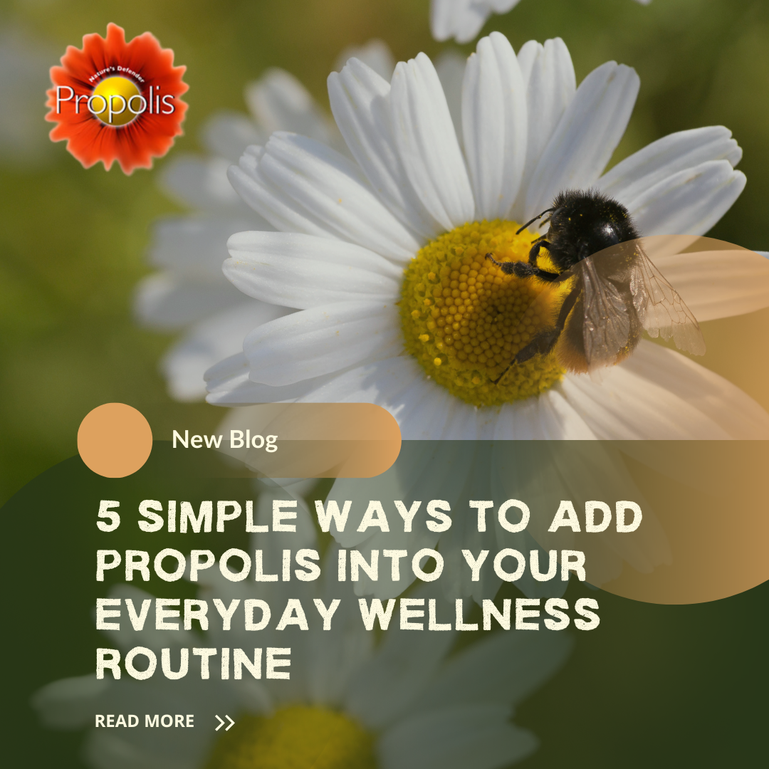 5 simple ways to incorporate propolis into your wellness routine