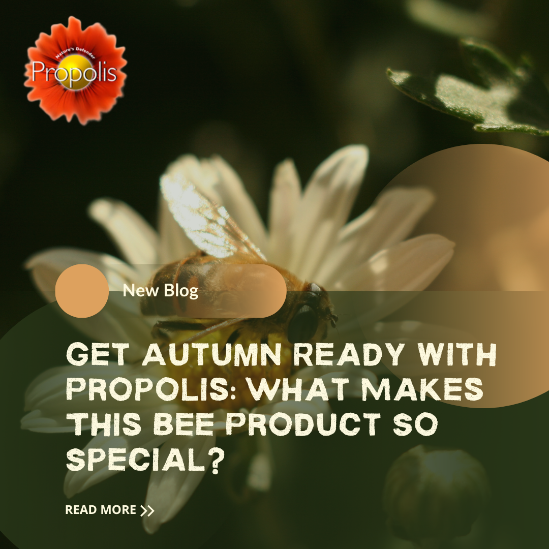 Get Autumn Ready with Propolis: What Makes This Bee Product So Special?
