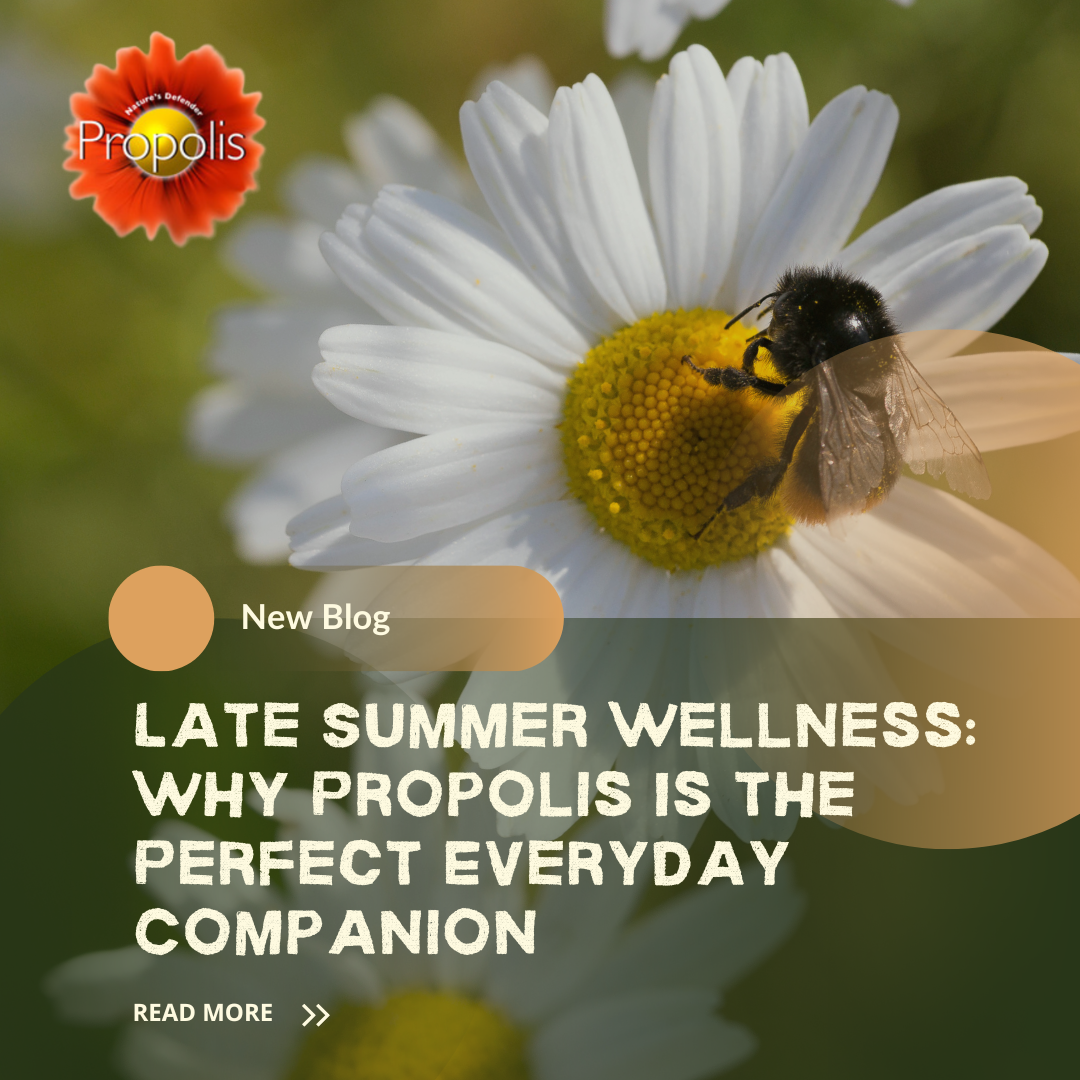 Late Summer Wellness: Why Propolis is The Perfect Everyday Companion