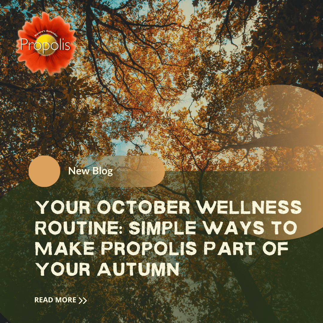 Your October wellness routine: simple ways to make propolis part of your autumn