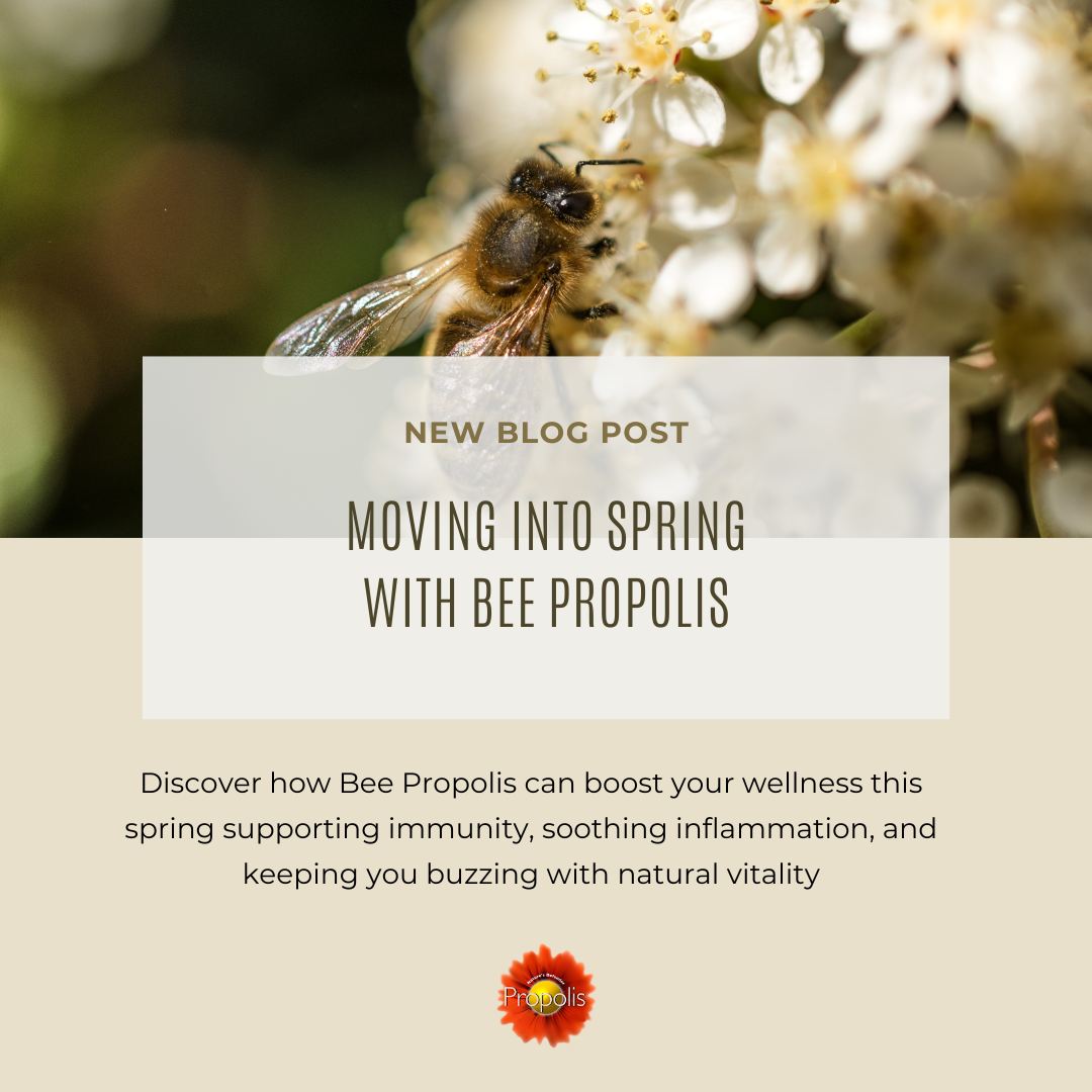 Moving Into Spring and Better Immunity With Bee Propolis