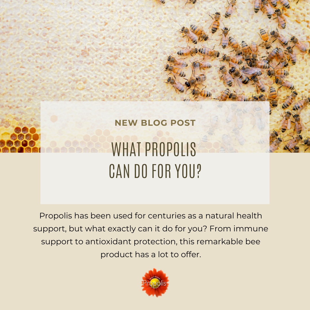 What can propolis do for you?