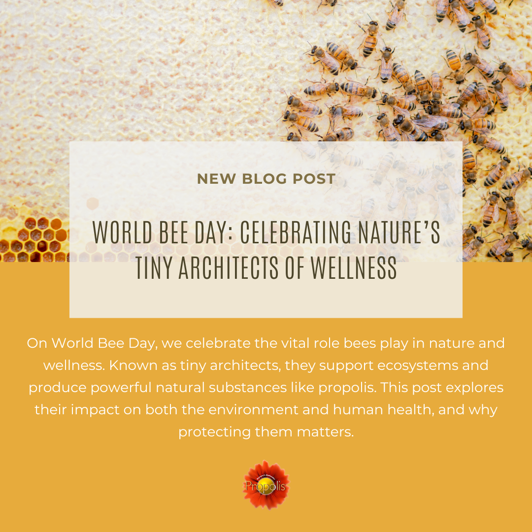 The Buzz for World Bee Day